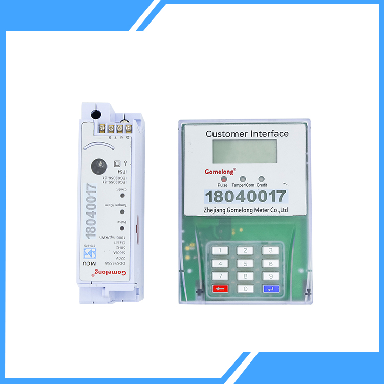 Application of DSP in Electric Energy Meter